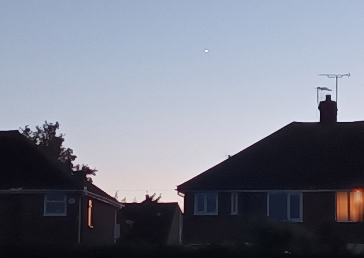 Venus in Daytime - 20 Nov 2024