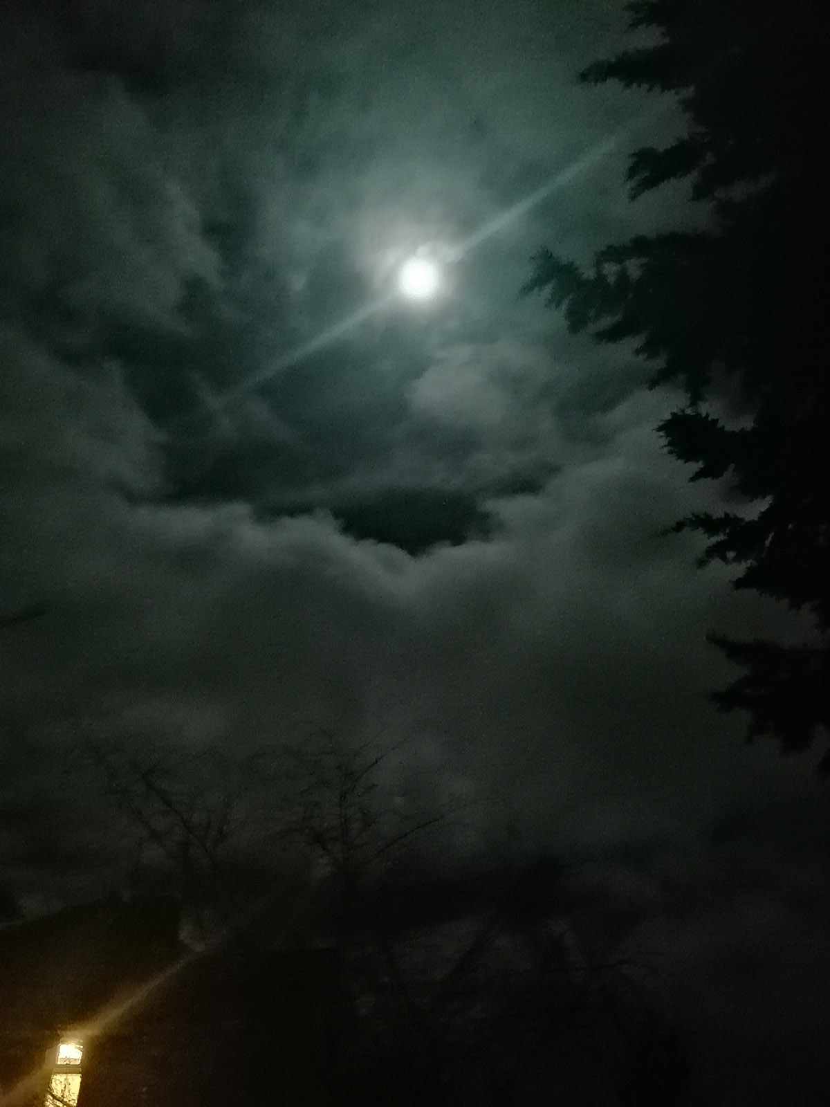 December 2024 Full Moon Harry Potter - 15 Dec 2024