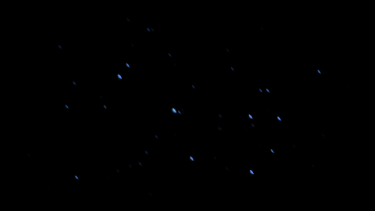 Pleiades - 07 Jan 2025