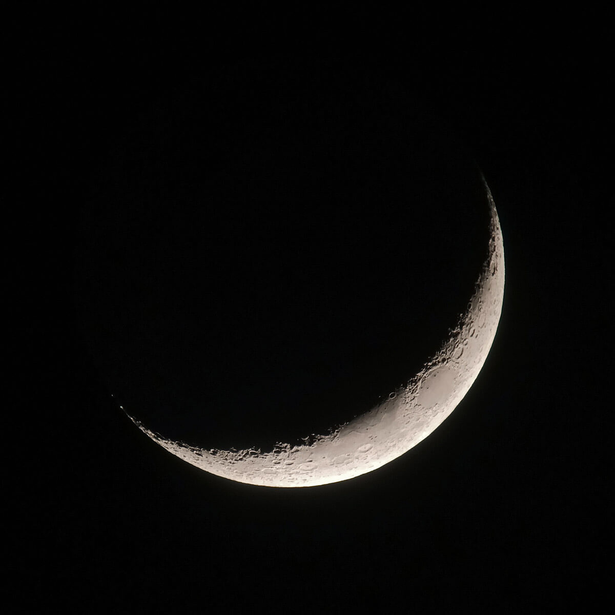 Crescent Moon - 01 Feb 2025