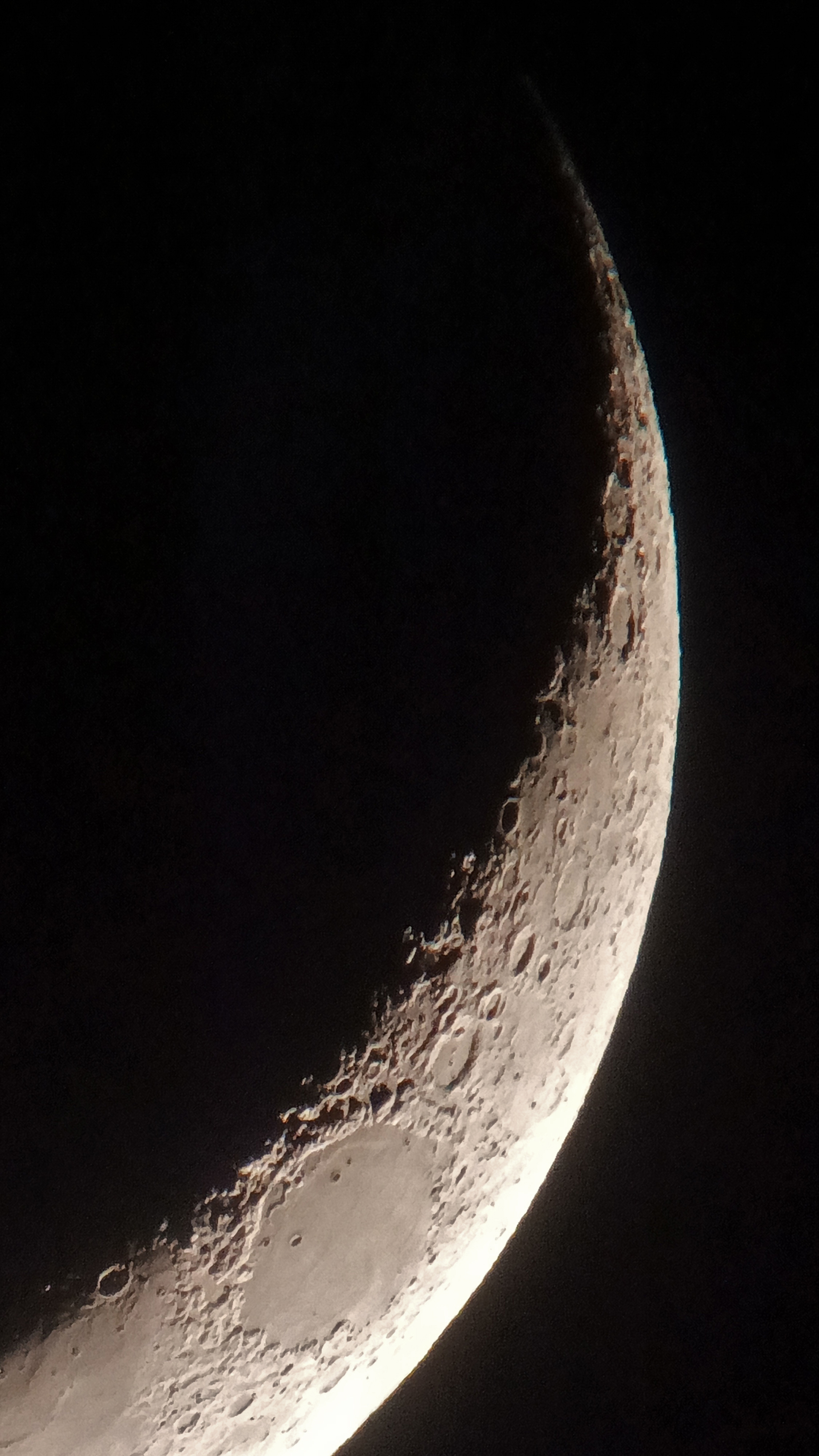 TRAC Monthly Report - February 2025 | Taverners Road Astronomy Club