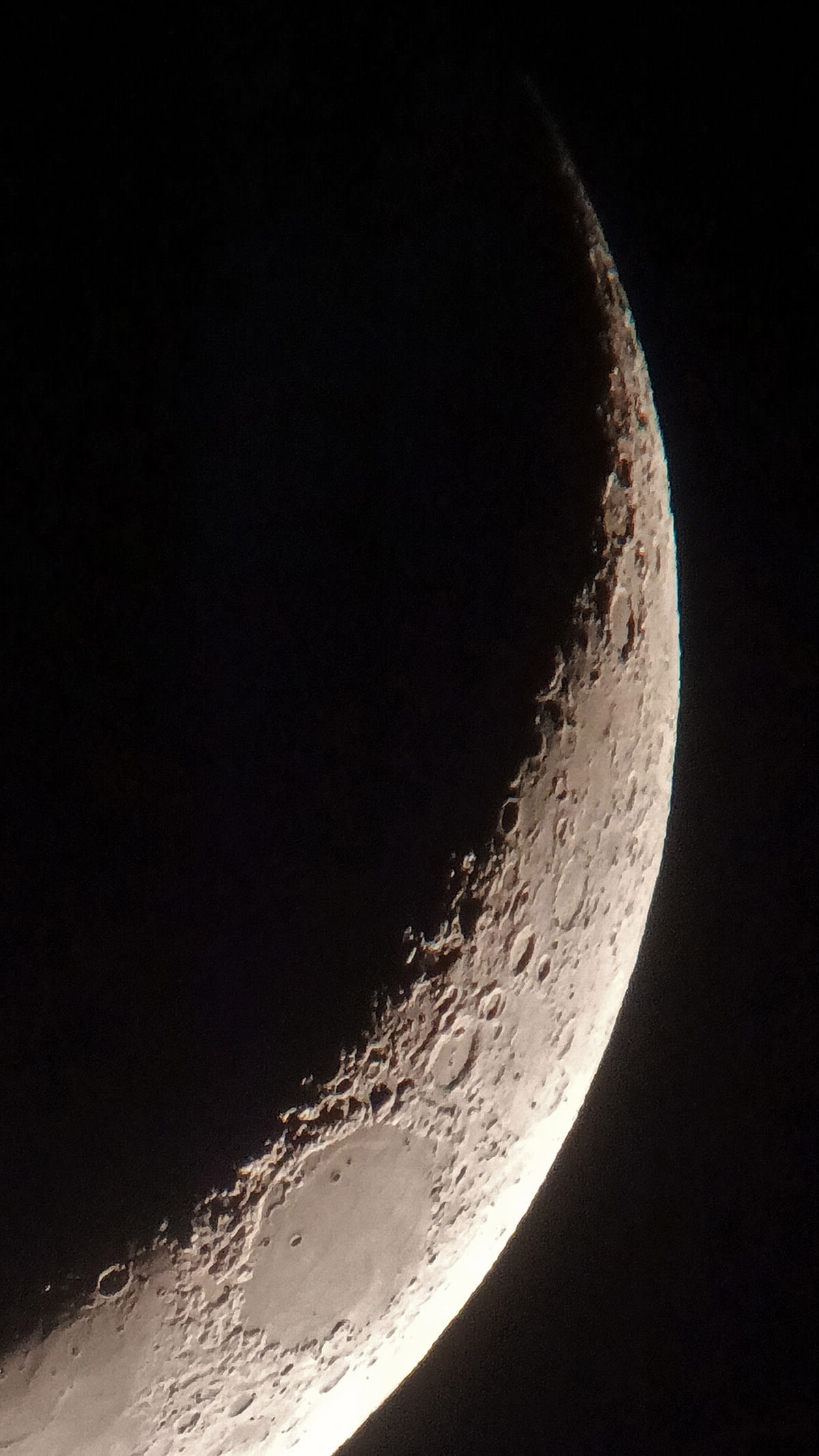 Crescent Moon Zoomed - 01 Feb 2025