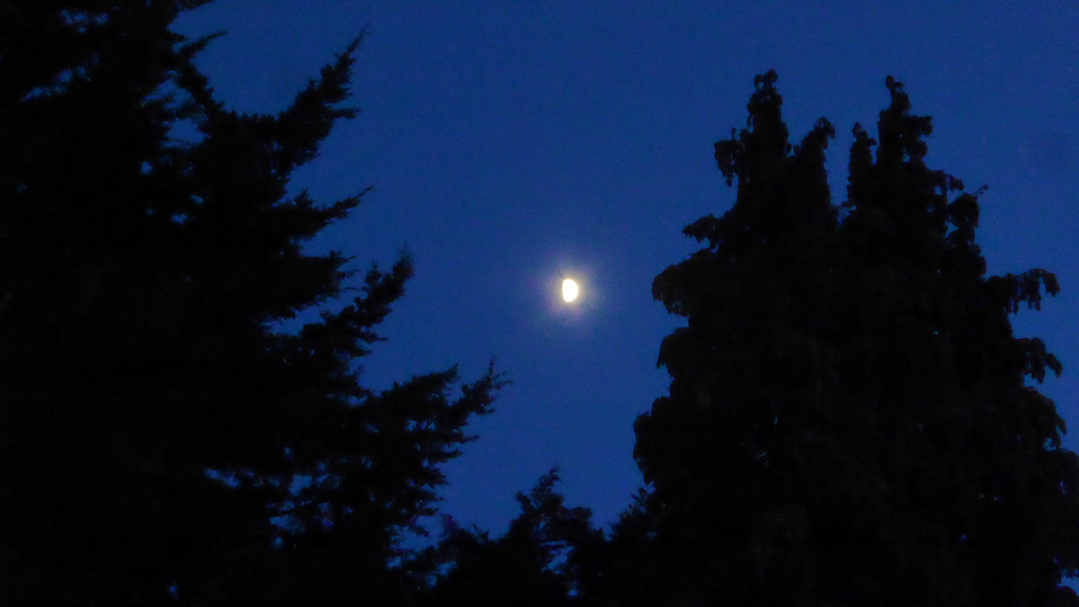Moon (First Quarter) - 04 Jun 2025