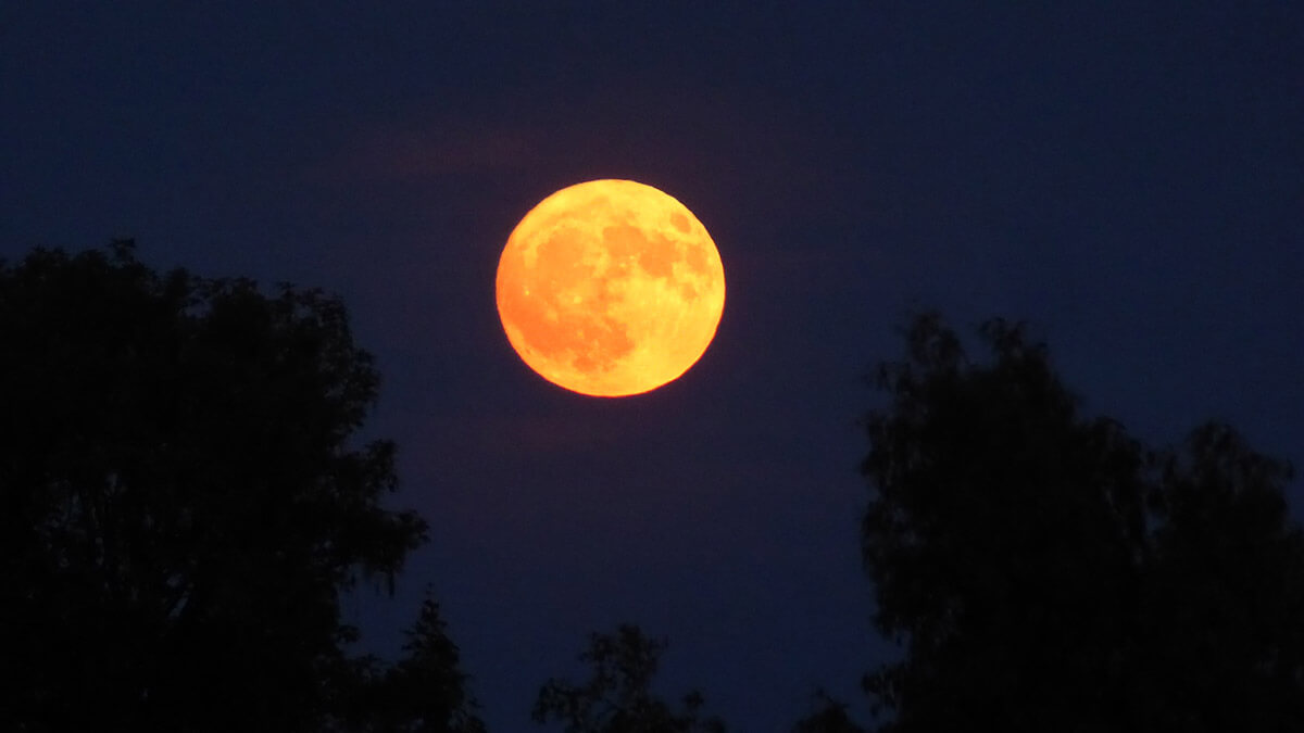The Lowest Full Moon - 10 Jun 2025