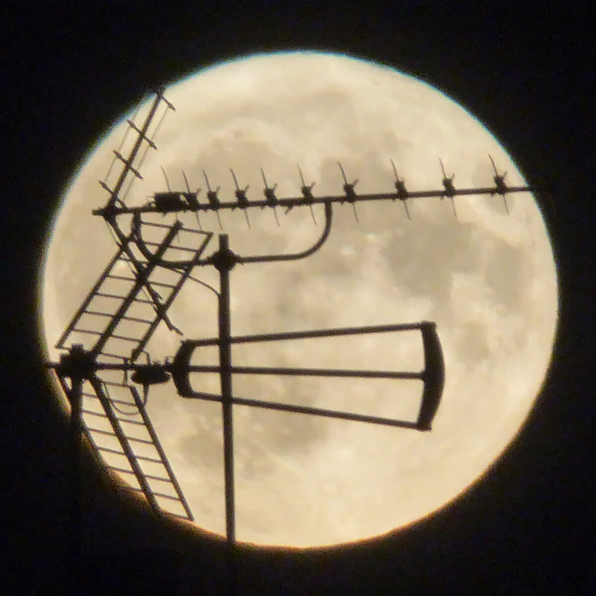 July 2025 Full Moon - 10 Jul 2025