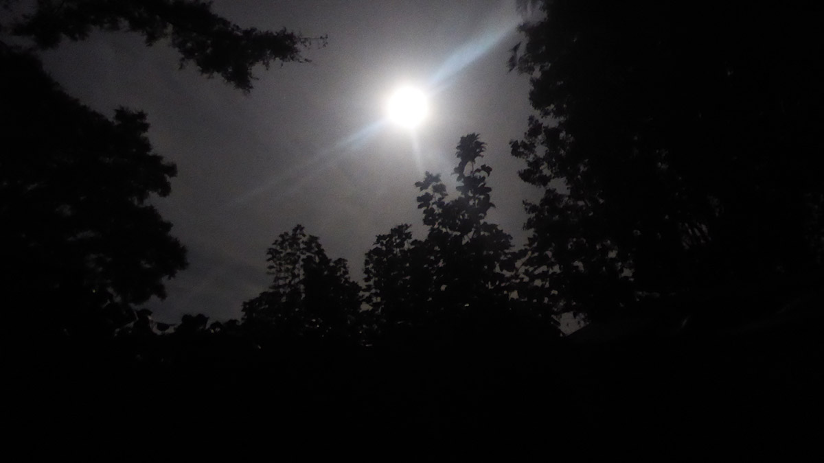 Full Moon - Shining Brightly ... a few hours after the eclipse had ended - 07 Sep 2025