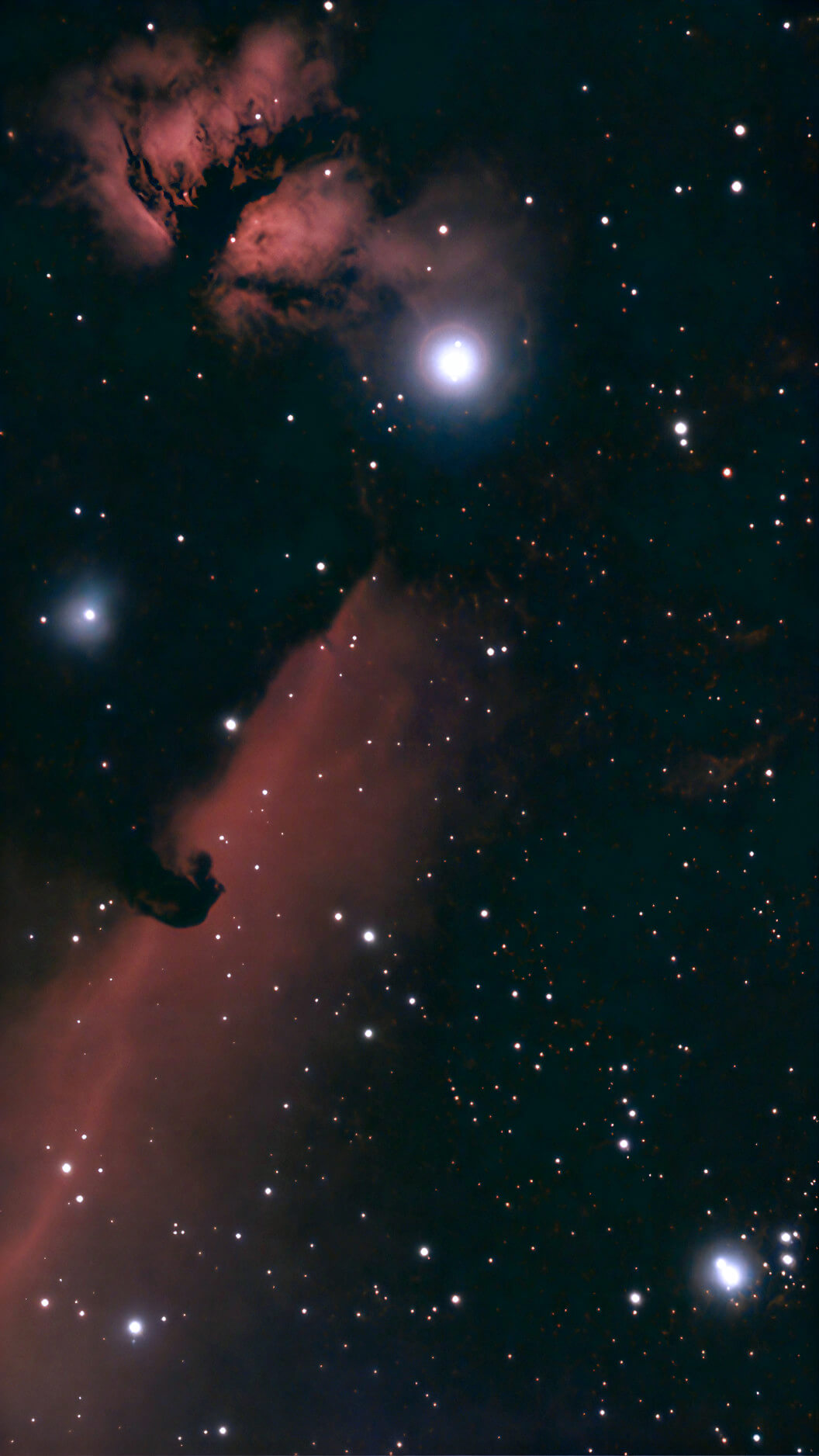 Horsehead Nebula - Seestar S50 - 24 Feb 2026