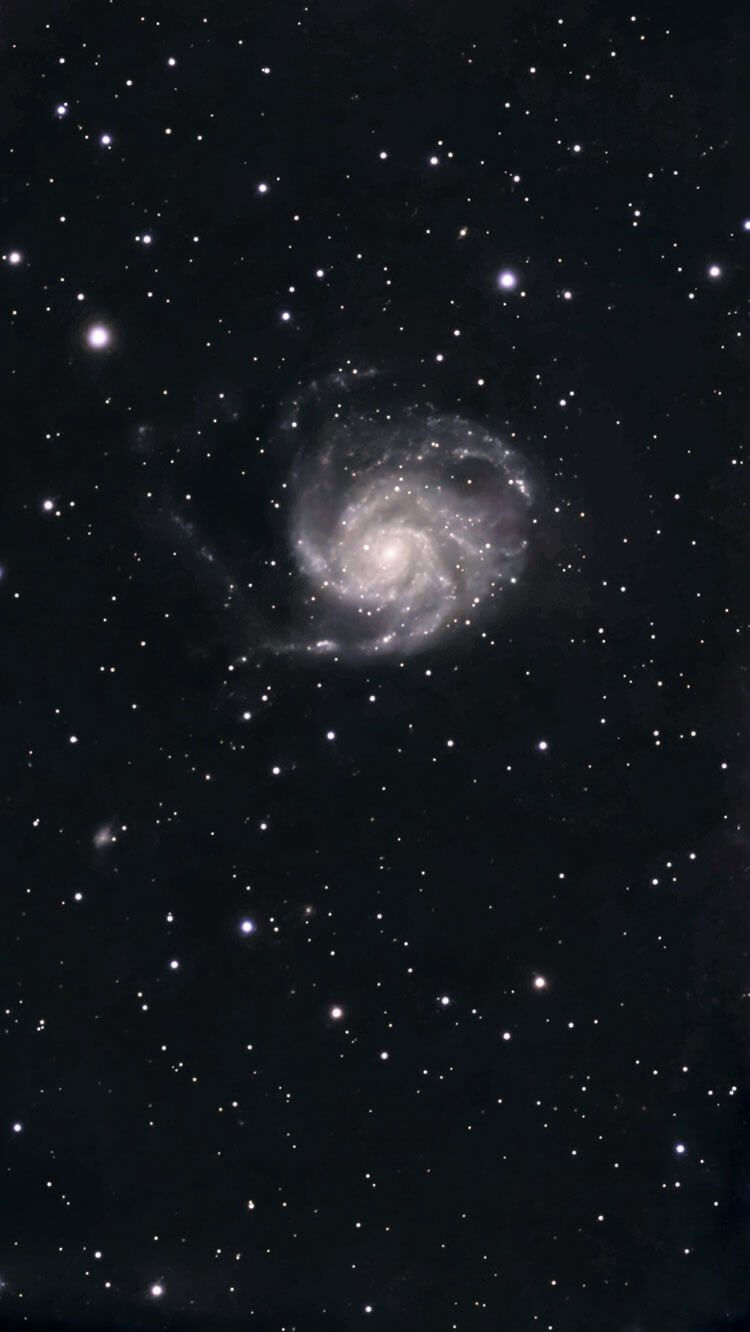 The Pinwheel Galaxy (M101) - 21 Mar 2026