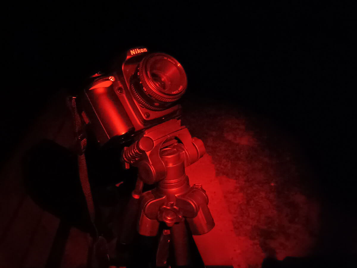 Nikon D80 - 21 Mar 2026