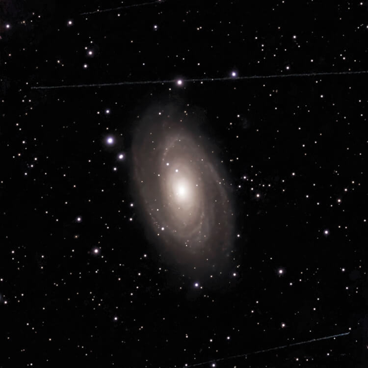 Bode's Galaxy (M81) - 25 Apr 2026