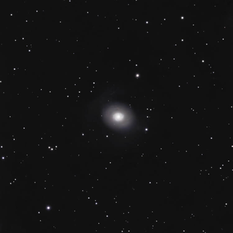 Croc's Eye Galaxy